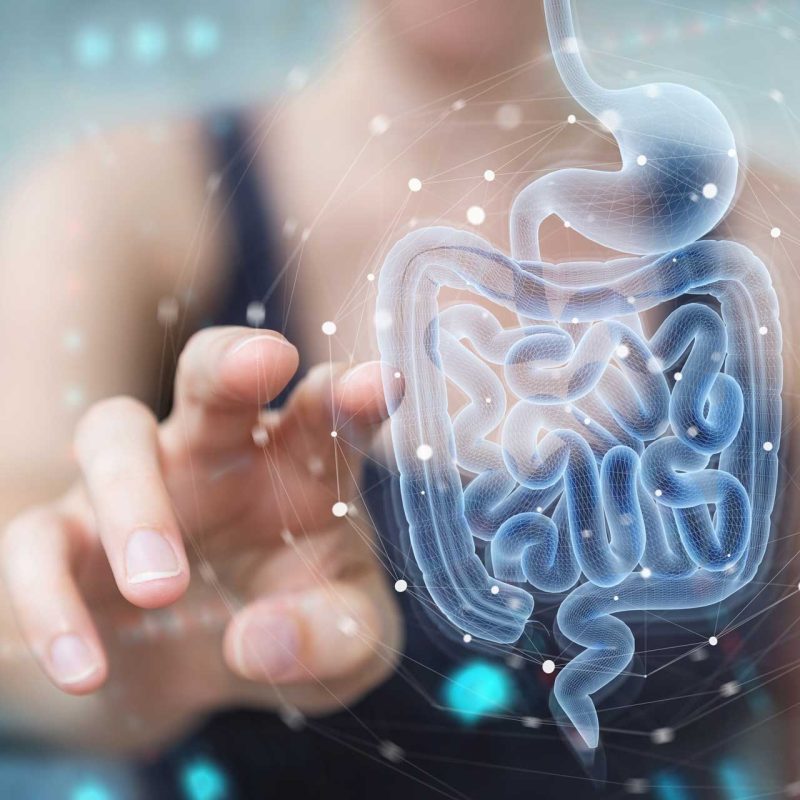 Gut Microbiome Testing
